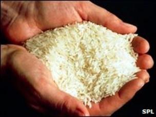 White rice