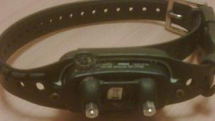 shock collar illegal