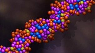 model of a DNA strand