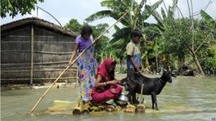 In pictures: Bihar floods - BBC News