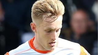 joe piggott