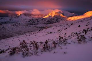 Tomasz Janicki, under-16: First Light