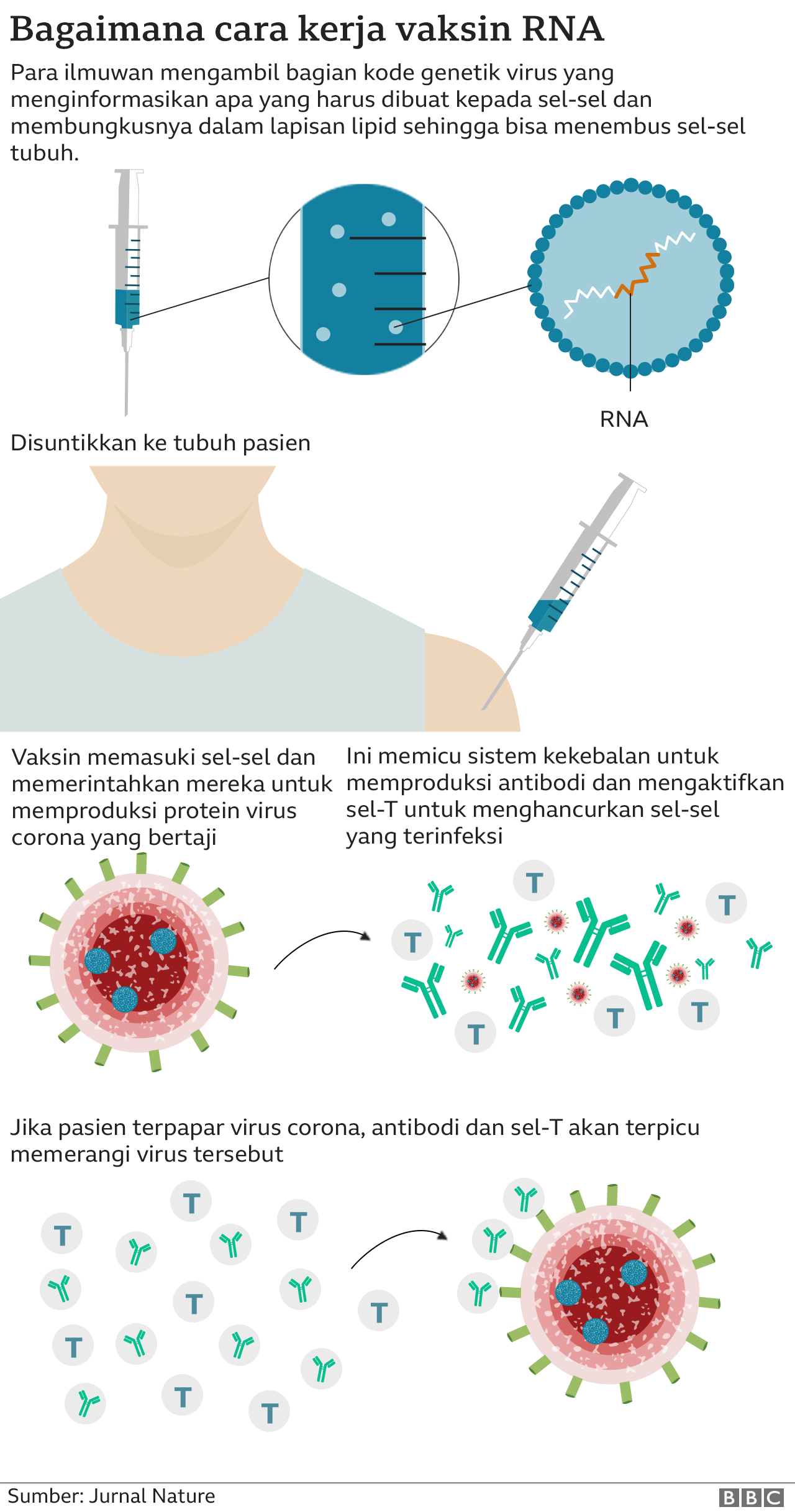 Bagaimana Cara Pembuatan Vaksin Homecare