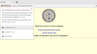 Screengrab of US Court of Appeals website