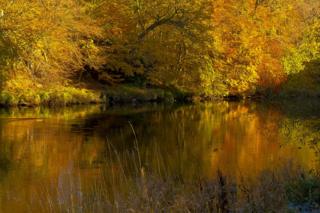 River Clyde at Kirkfieldbank in the morning