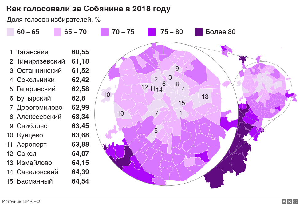Как голосовали за Собянина