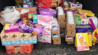 Cat food in van