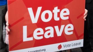 Vote Leave placard