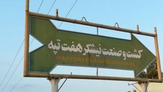 کشت و صنعت نیشکر هفت تپه