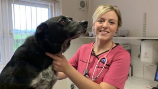 Malan Hughes, pictured with Mot the dog, said vets' pay did not reflect the five years training required