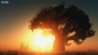 Paisaje africano