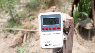 खेत पर तापमान 52 डिग्री सेल्सियस
