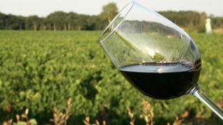 The idea that a vineyard's soil lends a wine its flavour is becoming increasingly popular - but is there any scientific basis?