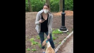 Christian Cooper filmed Amy Cooper after she refused to stop her dog running through woodland