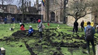 Extinction Rebellion at Trinity College