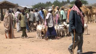Abanyagihugu kw'isoko ry'ibitungwa muri Somaliland