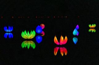 Glowing lights on water