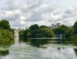 Reflections in water