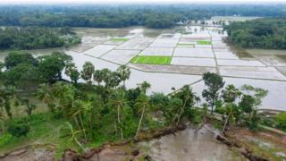 বন্যার প্রকোপ ছড়িয়ে পড়ছে সারা দেশে।