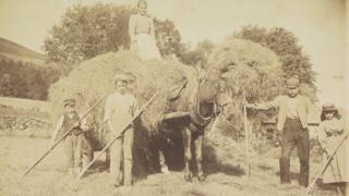 Farm workers
