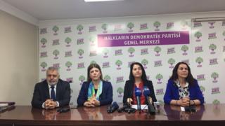 HDP Eş Genel Başkanı Serpil Kemalbay