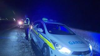 Gardai at the scene of the crash