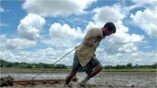 వ్యవసాయం