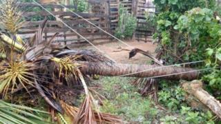 ஃபானி புயல் கரையை கடக்க தொடங்கியது - ஒடிசாவில் கனத்த மழை