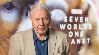 Sir David Attenborough