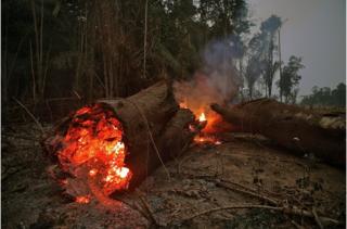 View of fire in the Amazon rainforest, near Abuna, Rondonia state, Brazil, on August 24, 2019