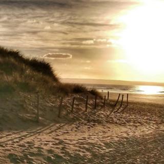 Near the Croyde Beach dunes in North Devon