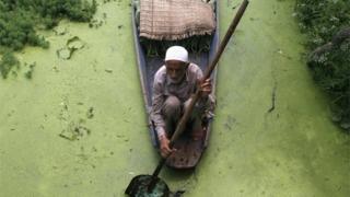 Kashmir