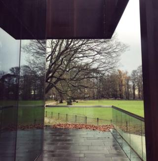 Trees reflected on a building