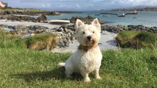 Iona, Inner Hebrides