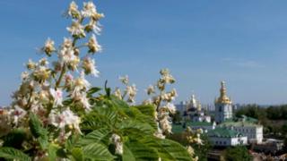 велоперегони