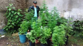 Sérgio em sua casa ao lado de alguns pés de maconha