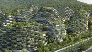 Ciudad Bosque