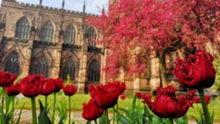 Red flowers with Chester Cathedral in the background