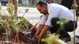 MM Abiy Ahmad wayita biqiltuu dhaaban