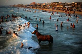 Man washes his horse in the waters of the Mediterranean Sea