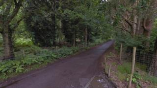 The wooded area the puppies were found