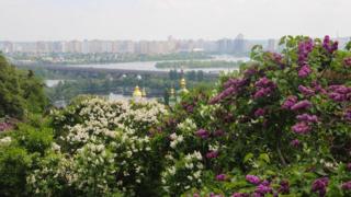 бузок