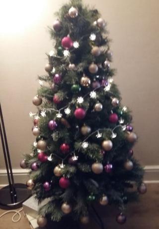Sameer sent this colourful,sparkling tree picture