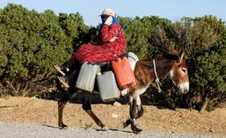 A nomad girl rides on a donkey loaded with water tanks near Mornaguia, south-west of Tunis, Tunisia, July 24, 2018