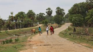 மன்னார் பகுதி