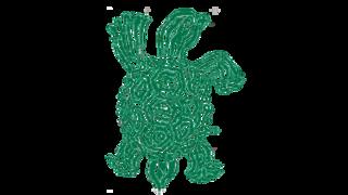 Tortuga de Ayotzinapa.