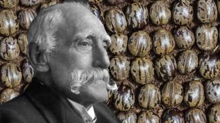 Henry Wickham y semillas de árbol de caucho