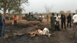 L'armée sénégalaise se déploie pour récupérer les troncs coupés