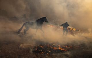 A man leads a horse on a rope through a field of smoke and small flames
