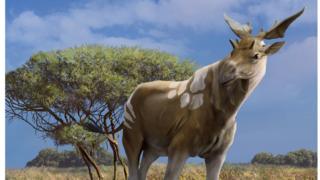 The large relative of the giraffe lived one million years ago
